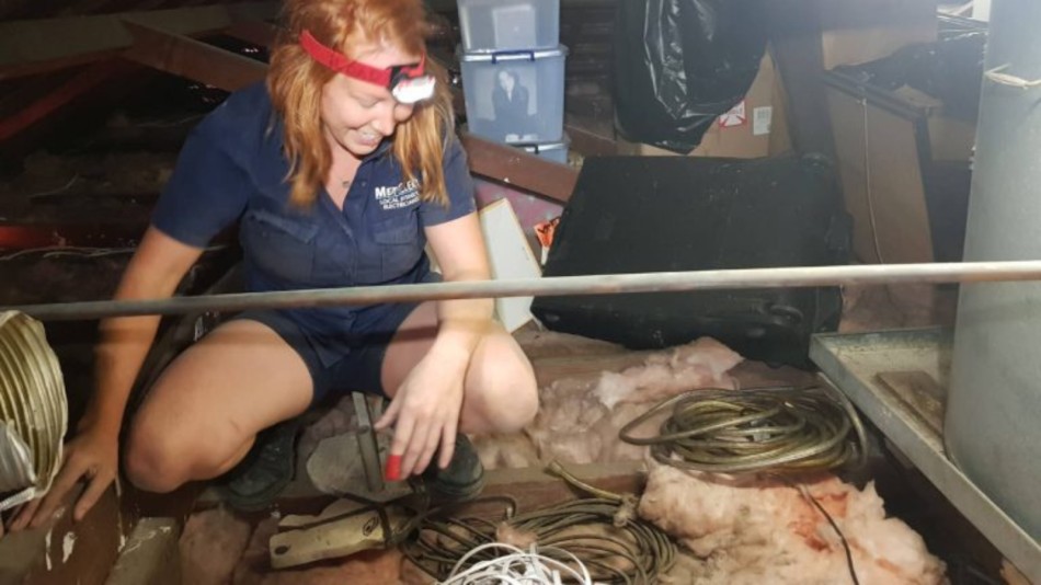 Blog 12 Electrical upgrade
