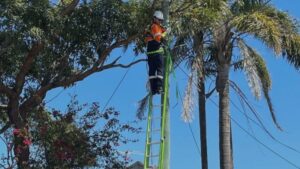 Electrician working on power poles