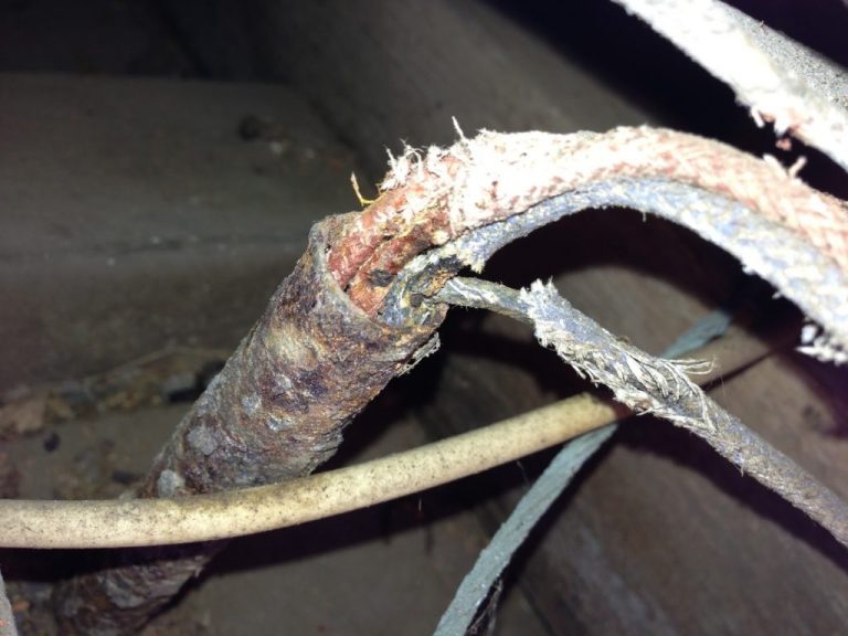 Exposed Or Damaged Old Wiring
